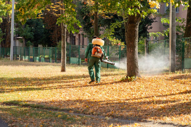 Best Residential Pest Control  in Scranton, PA